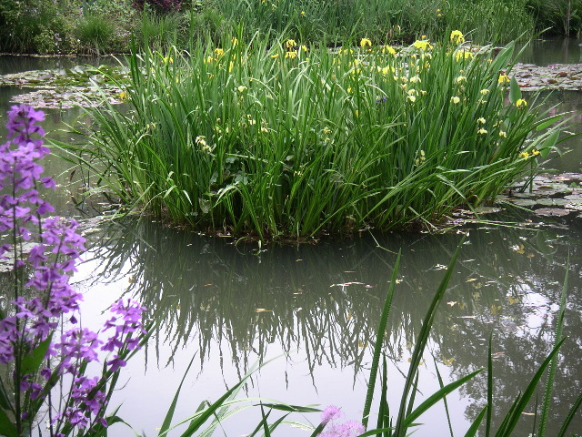 PICT0018.JPG