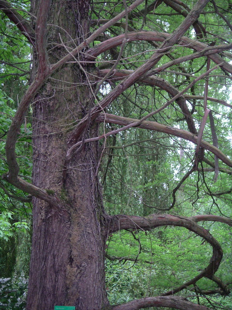 PICT0019.JPG
