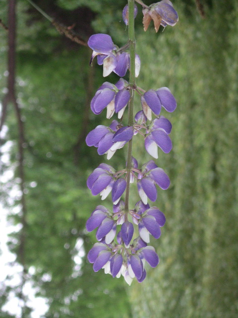 PICT0023.JPG