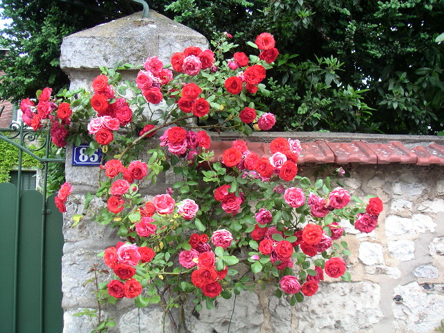 PICT0030.JPG
