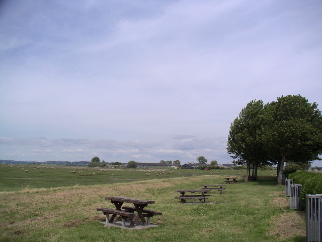 PICT0043.JPG