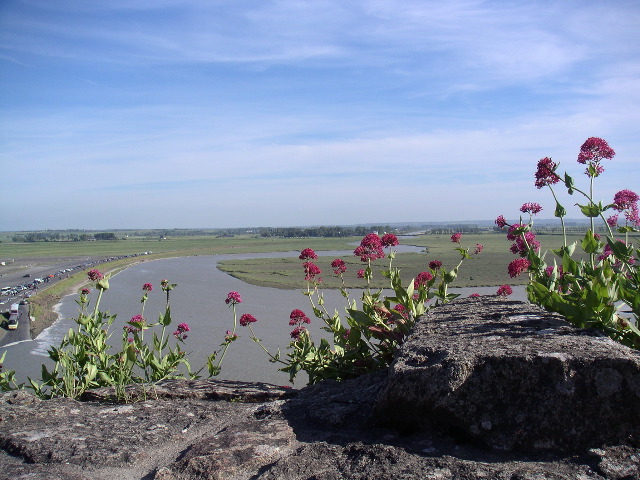 PICT0113.JPG