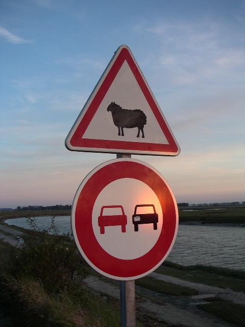 PICT0127.JPG
