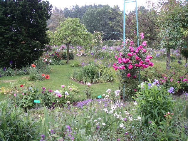 PICT0012.JPG