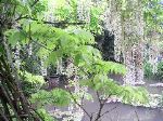 PICT0015.JPG
