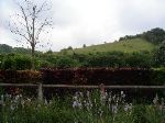 PICT0031.JPG