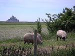 PICT0038.JPG