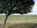 PICT0040.JPG