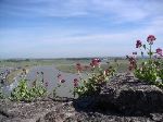 PICT0113.JPG