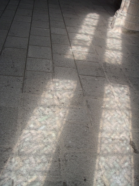 PICT0079.JPG