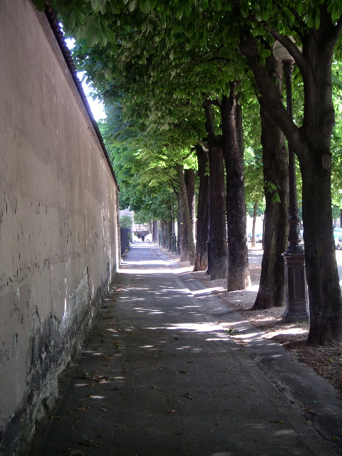 PICT0013.JPG