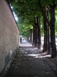 PICT0013.JPG