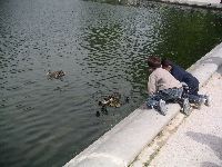 PICT0040.JPG