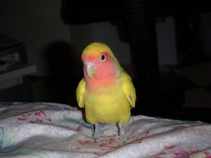 PICT0001.JPG