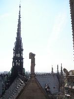 PICT0003.JPG