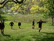 PICT0064.JPG