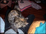 pict0027.jpg
