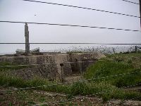 PICT0005.JPG