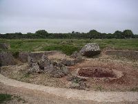 PICT0019.JPG